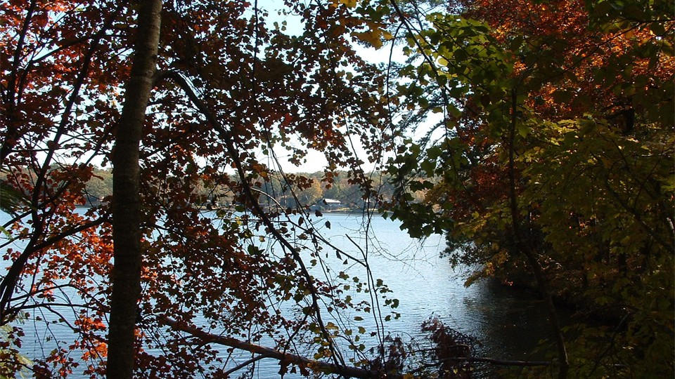                View from Cabin E