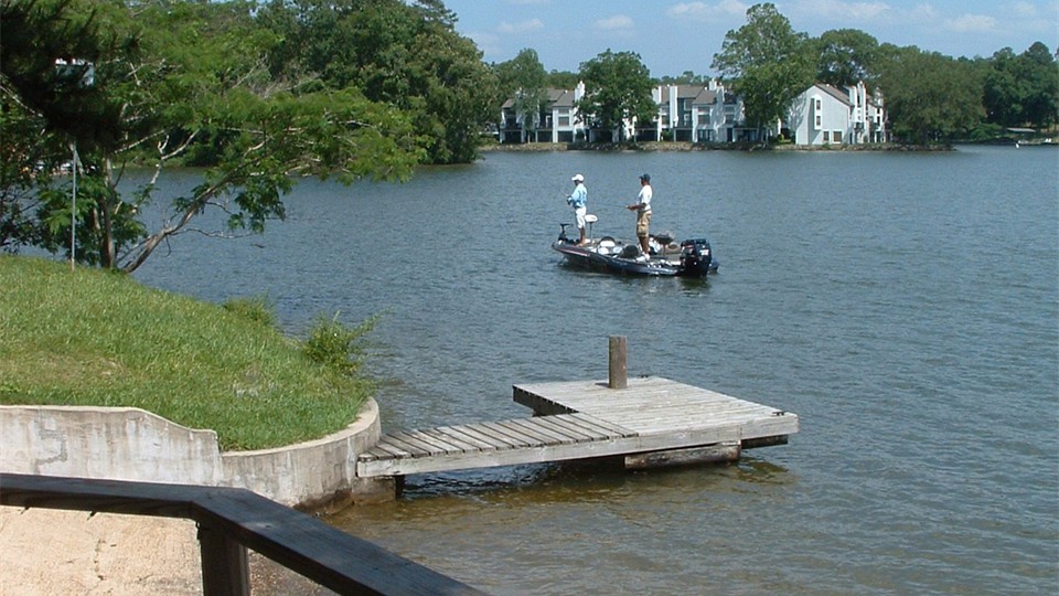                Fishing at the Shoreline