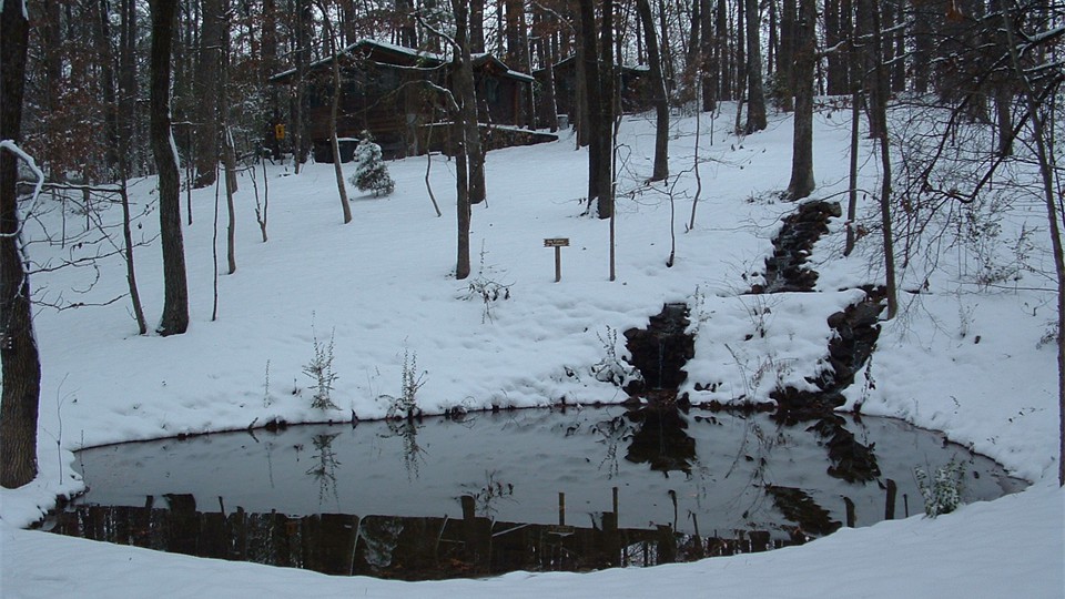                Rare winter