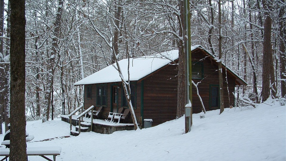                Rare winter