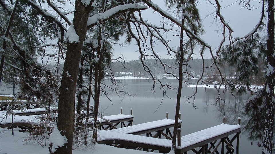                Rare winter