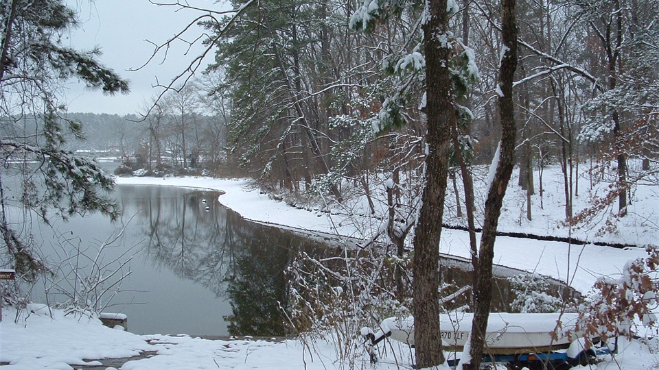                Rare winter