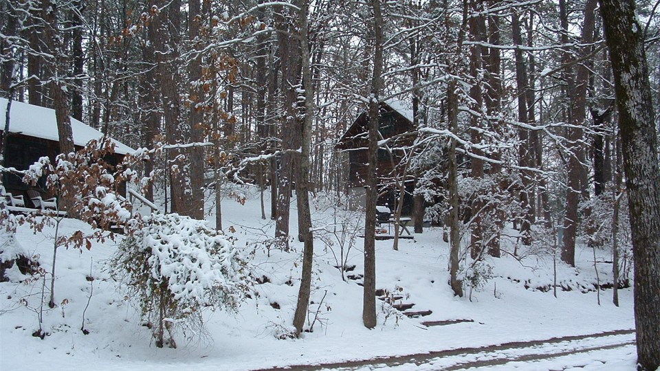                Rare winter