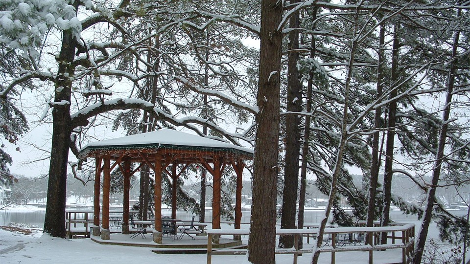                Rare winter