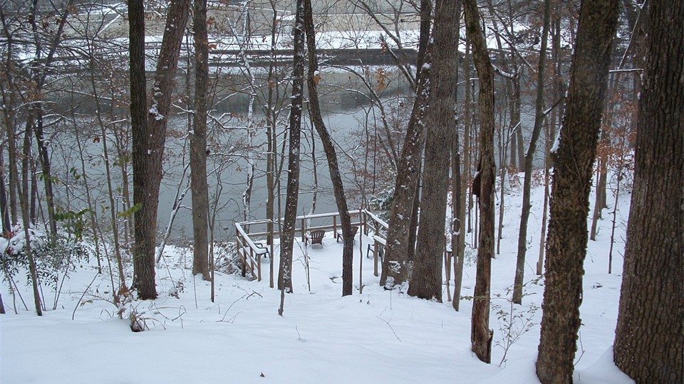                Rare winter