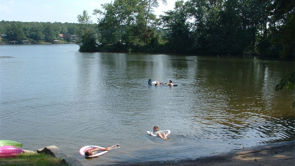                Swimming at the shoreline