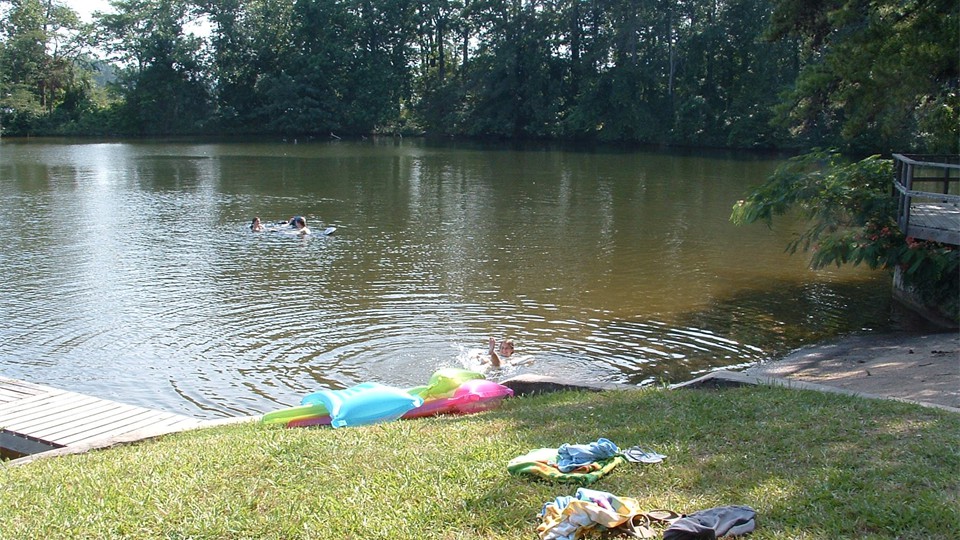                Swimming at the shoreline